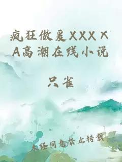 疯狂做爰XXXⅩA高潮在线小说