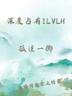 深度占有1LVLH