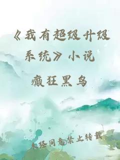 《我有超级升级系统》小说