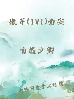 嫩芽(1V1)南安