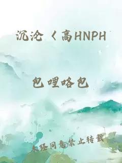 沉沦〈高HNPH