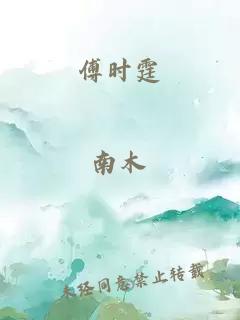 傅时霆