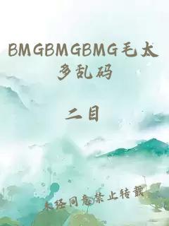 BMGBMGBMG毛太多乱码