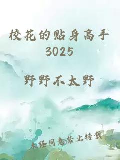 校花的贴身高手3025