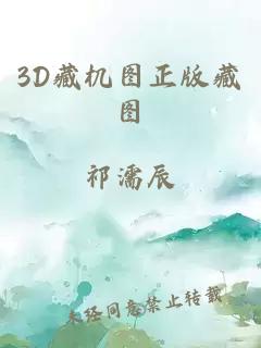 3D藏机图正版藏图