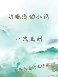 明晓溪的小说