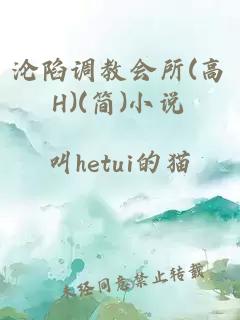 沦陷调教会所(高H)(简)小说