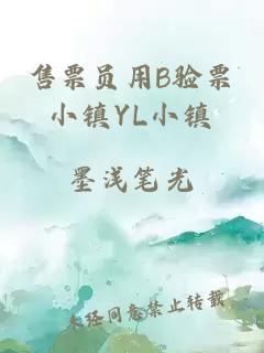 售票员用B验票小镇YL小镇