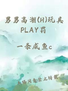 男男高潮(H)玩具PLAY罚