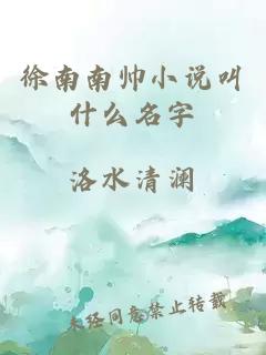 徐南南帅小说叫什么名字