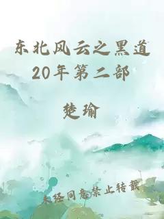 东北风云之黑道20年第二部