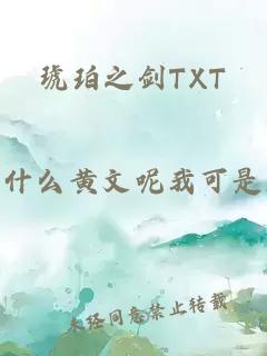 琥珀之剑TXT