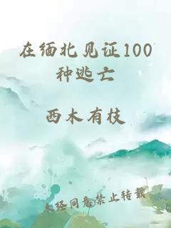 在缅北见证100种逃亡