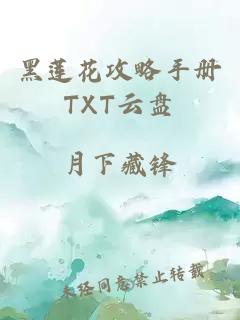 黑莲花攻略手册TXT云盘