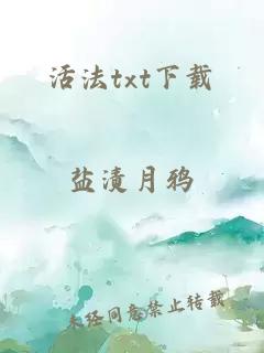 活法txt下载