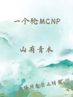 一个轮MCNP