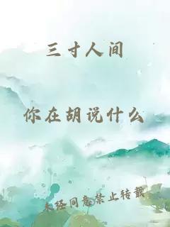 三寸人间