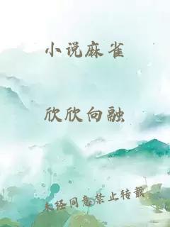 小说麻雀