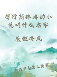 傅行简林冉的小说叫什么名字