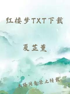 红楼梦TXT下载