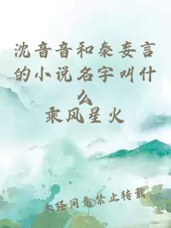 沈音音和秦妄言的小说名字叫什么