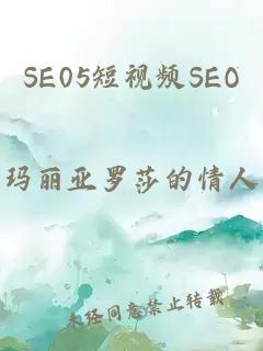 SE05短视频SEO