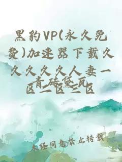 黑豹VP(永久免费)加速器下载久久久久久人妻一区二区三区