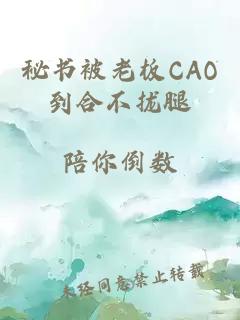 秘书被老板CAO到合不拢腿