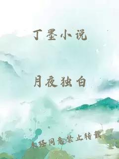 丁墨小说