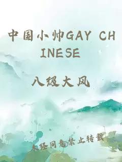 中国小帅GAY CHINESE