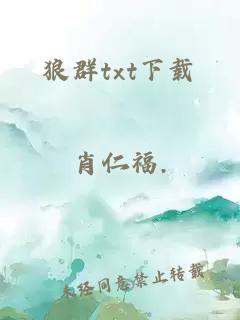 狼群txt下载