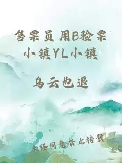 售票员用B验票小镇YL小镇