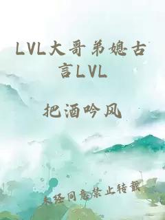 LVL大哥弟媳古言LVL