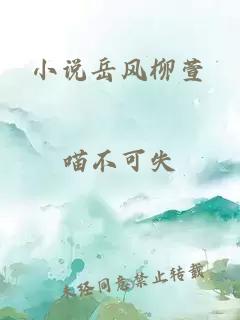 小说岳风柳萱