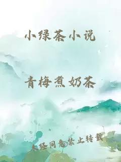 小绿茶小说