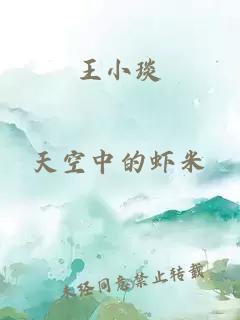 王小琰