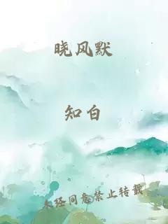 晓风默