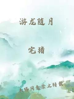 游龙随月