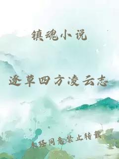 镇魂小说