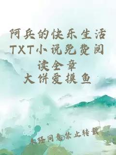 阿兵的快乐生活TXT小说免费阅读全章