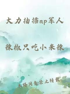 大力抽插np军人