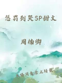 惩罚到哭SP甜文