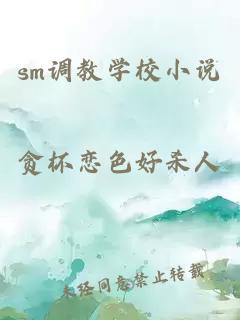 sm调教学校小说