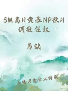 SM高H黄暴NP辣H调教性奴