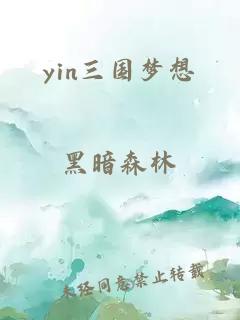 yin三国梦想