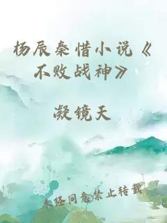 杨辰秦惜小说《不败战神》