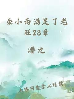 秦小雨满足了老旺28章