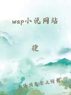 wap小说网站