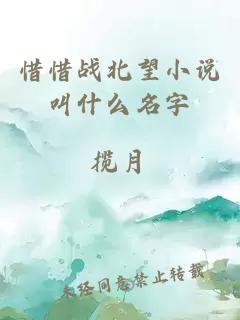 惜惜战北望小说叫什么名字