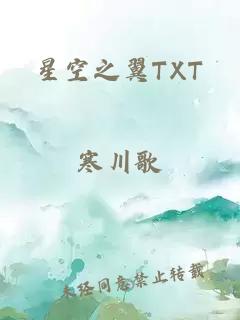 星空之翼TXT